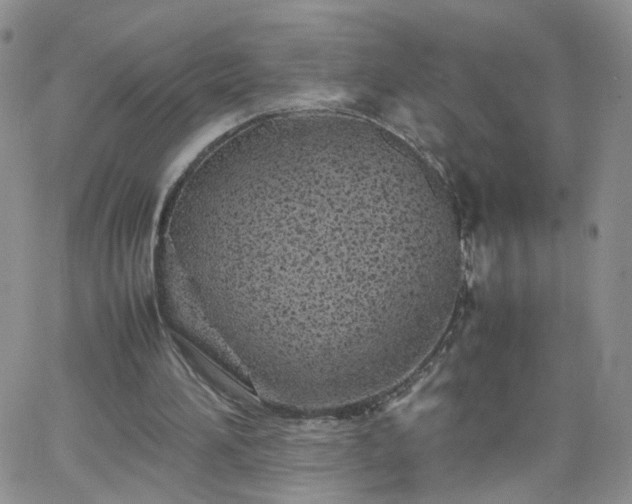 X0000066080196200603171039