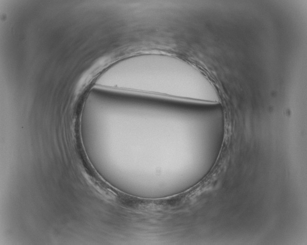 X0000066080197200603171039