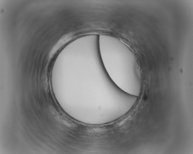 X0000066080198200603171039