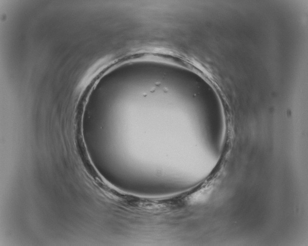 X0000066080199200603171039