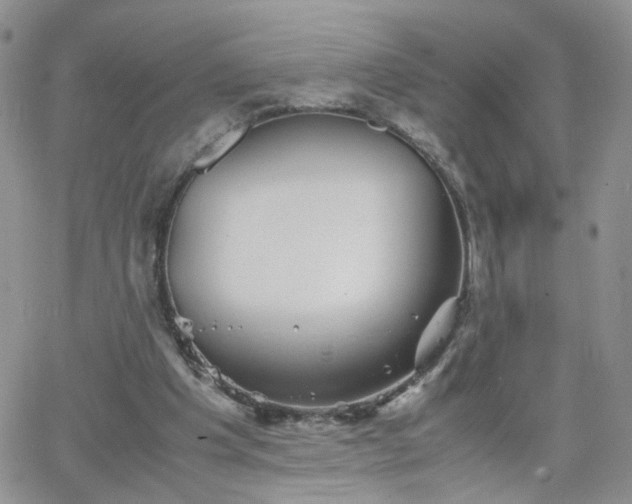 X0000066080201200603171039