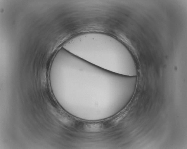 X0000066080202200603171039