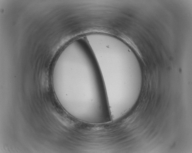 X0000066080204200603171039