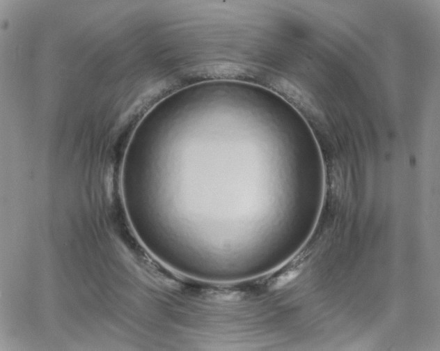 X0000066080206200603171039