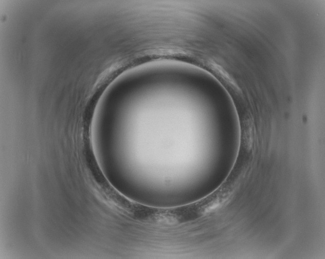 X0000066080207200603171039