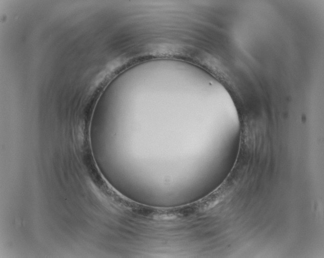 X0000066080208200603171039