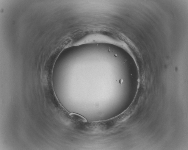 X0000066080209200603171039