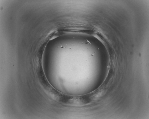 X0000066080211200603171039