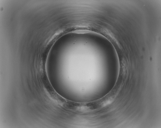 X0000066080212200603171038