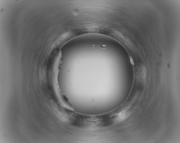 X0000066080213200603171038