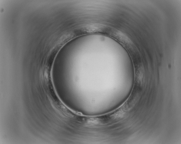 X0000066080214200603171038