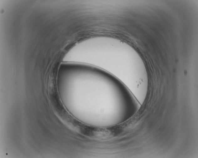 X0000066080215200603171038