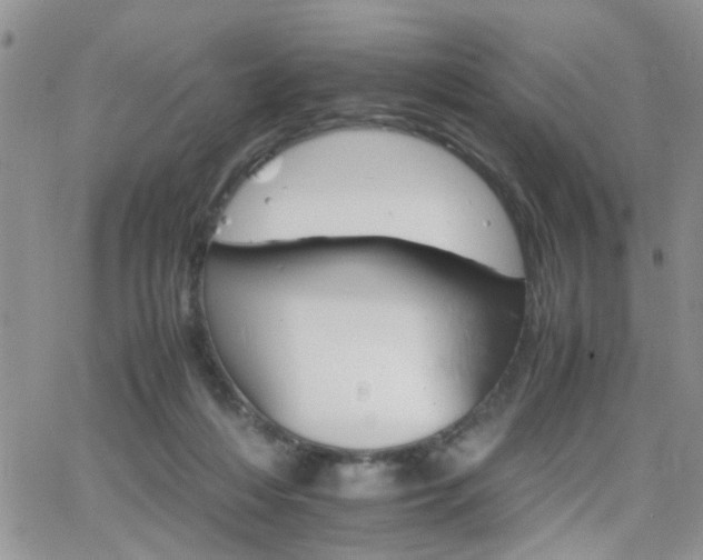 X0000066080216200603171038