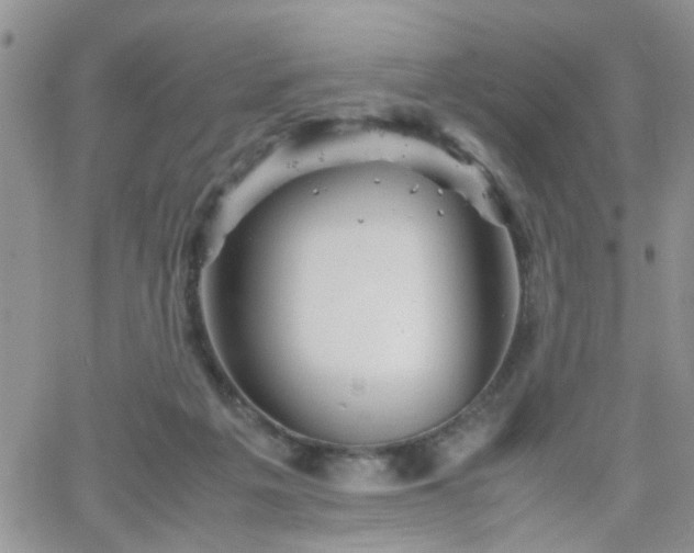 X0000066080217200603171038