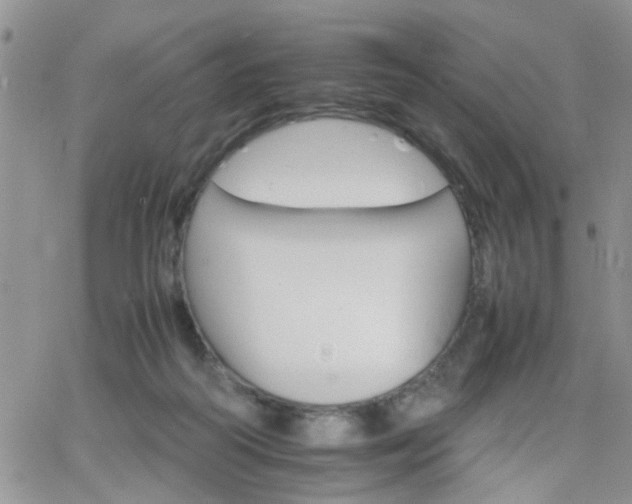 X0000066080218200603171038