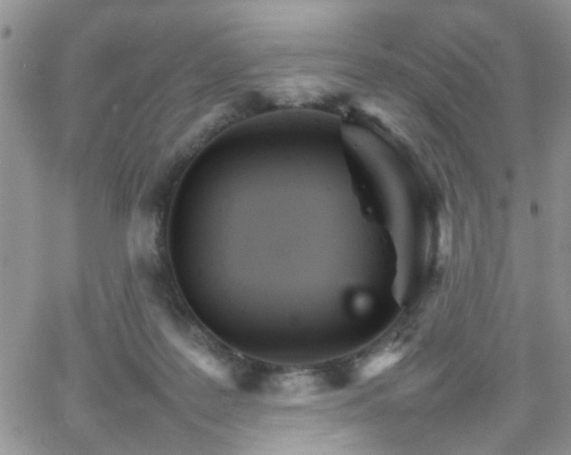 X0000066080219200603171038