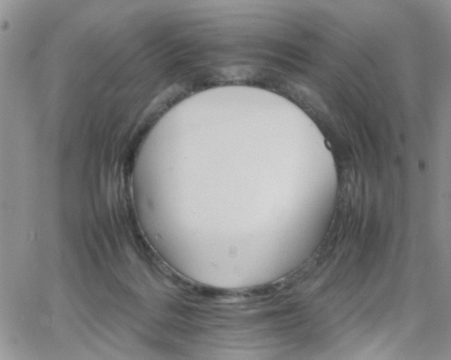 X0000066080220200603171038