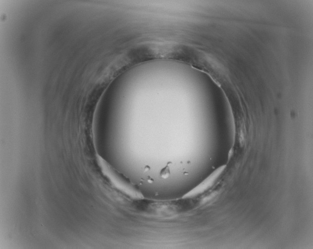 X0000066080221200603171038