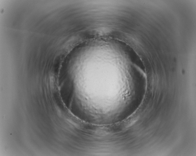 X0000066080222200603171038