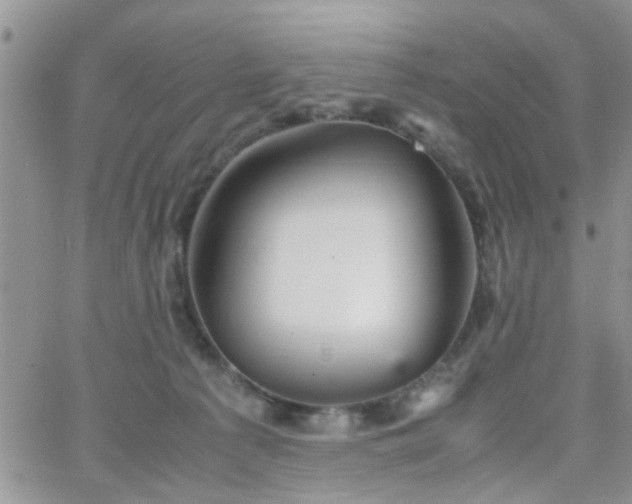 X0000066080225200603171038