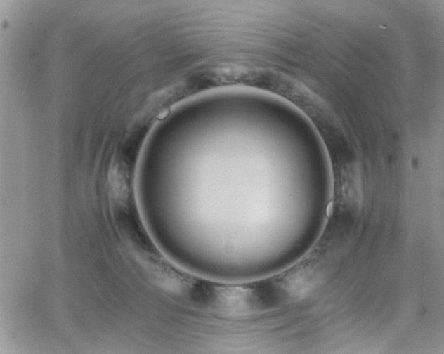 X0000066080226200603171038