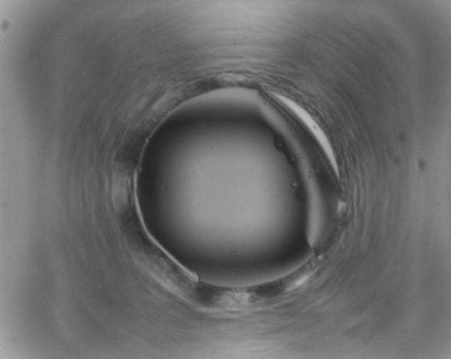 X0000066080227200603171038