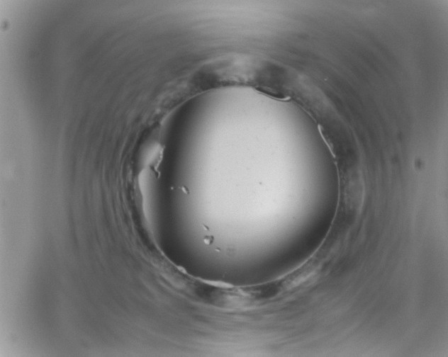 X0000066080229200603171038