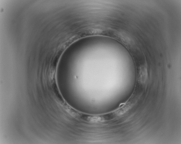 X0000066080230200603171038