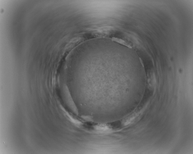 X0000066080231200603171038