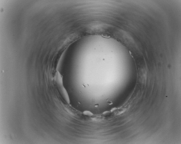 X0000066080232200603171038