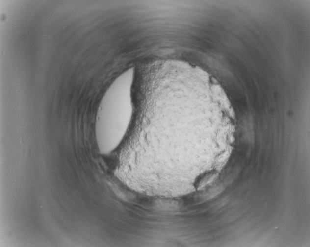 X0000066080234200603171038