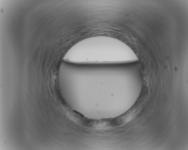 X0000066080235200603171038