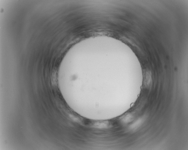 X0000066080236200603171038