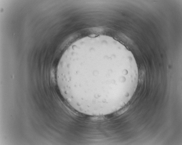 X0000066080238200603171038