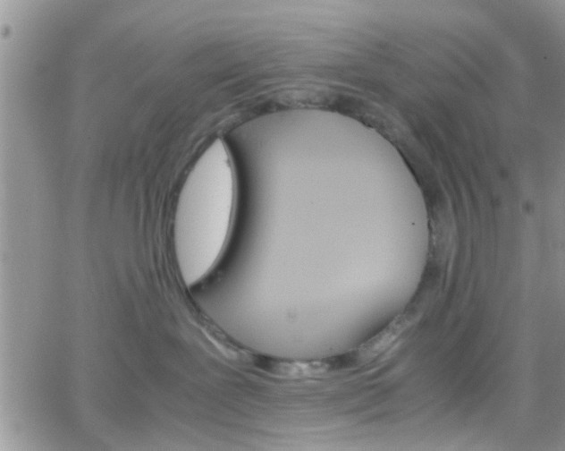 X0000066080239200603171038