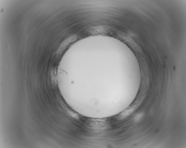 X0000066080240200603171038