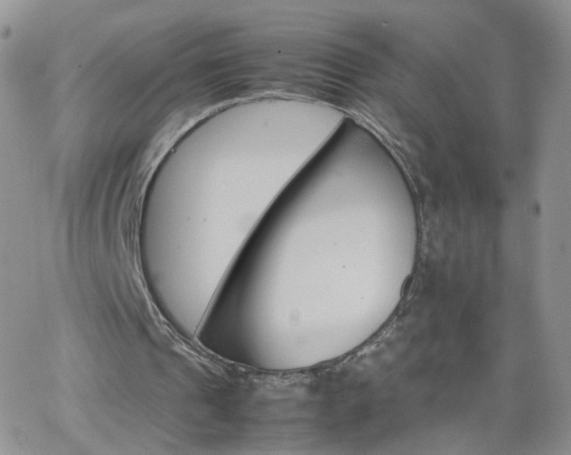 X0000066080241200603171037