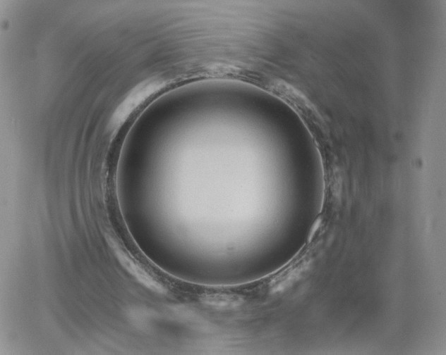 X0000066080242200603171037