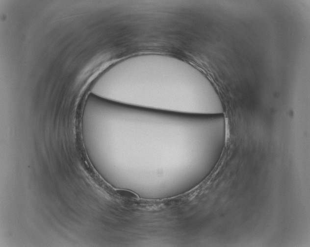 X0000066080243200603171037