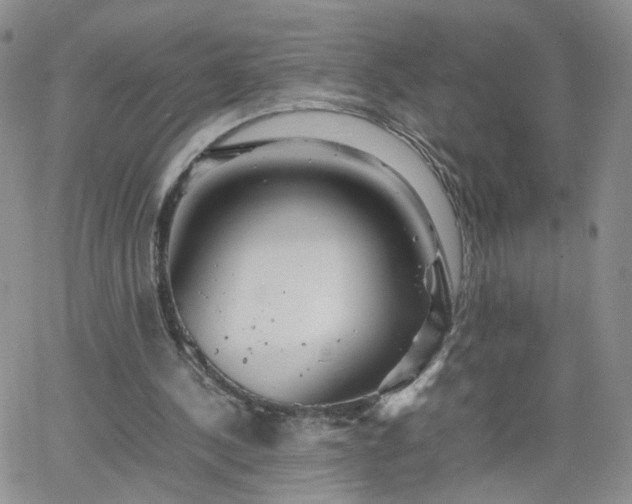 X0000066080244200603171037