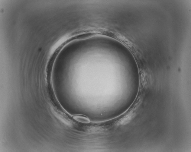 X0000066080246200603171037