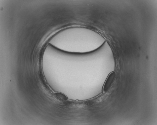 X0000066080247200603171037