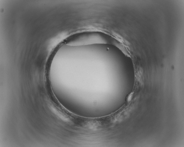 X0000066080248200603171037