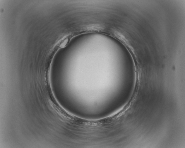 X0000066080249200603171037