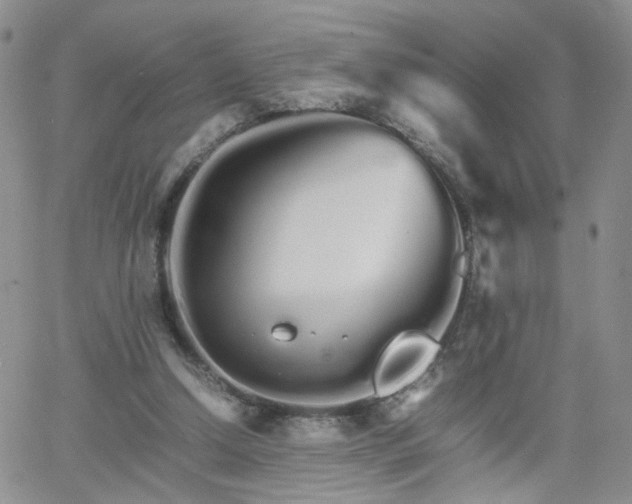 X0000066080250200603171037