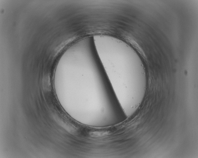 X0000066080251200603171037