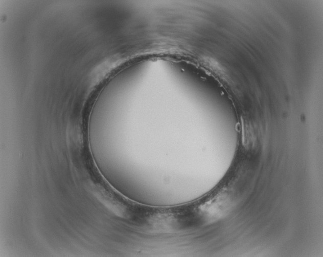 X0000066080252200603171037