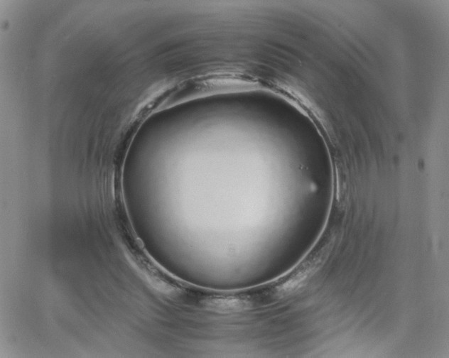 X0000066080253200603171037