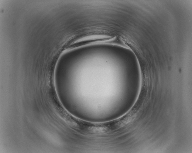 X0000066080255200603171037