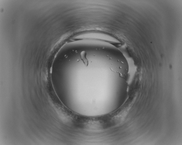 X0000066080256200603171037